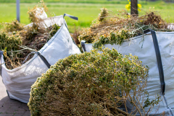 Best Commercial Junk Removal  in Tucson Estates, AZ