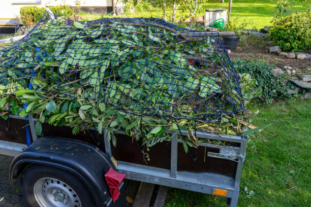 Best Recycling Services for Junk  in Tucson Estates, AZ